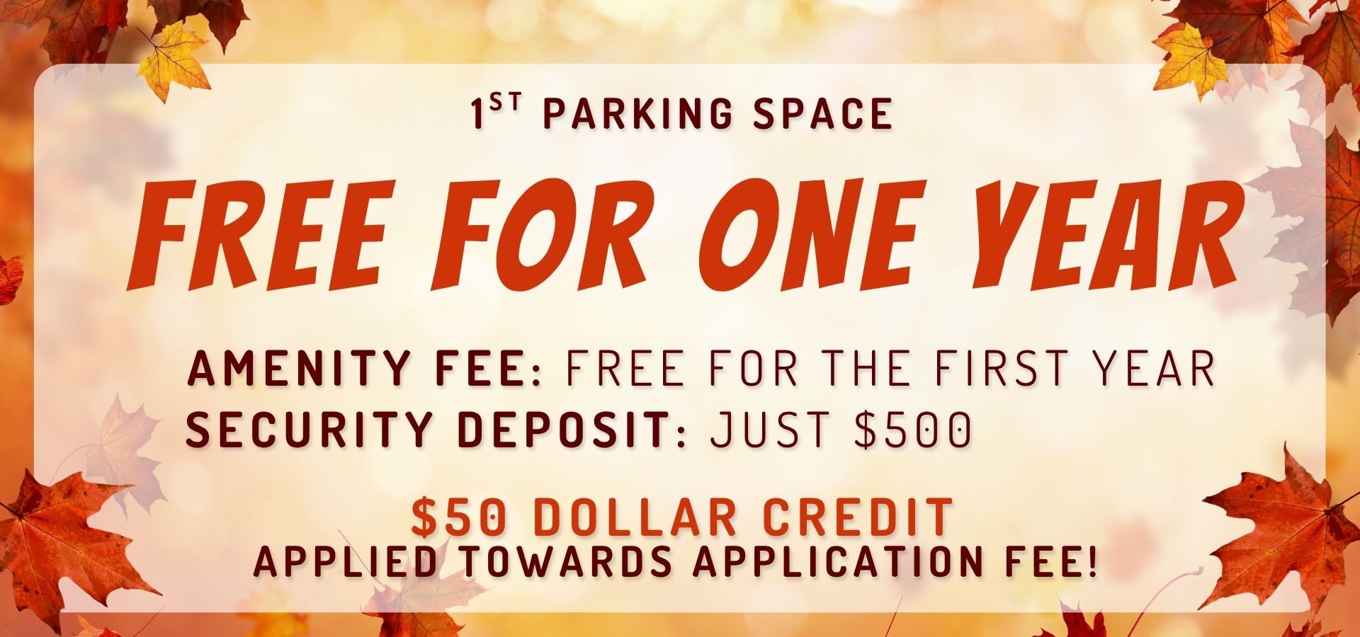 Leaves Are Falling, So Are Our Prices – Inquire About Our October Specials!